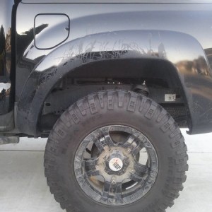 allpro_leaf_rear1