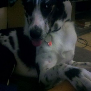 She smacked me because I wasn't paying attention to her... right as I 