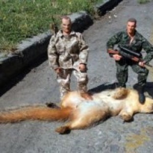 Road kill