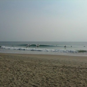 Waiste high at kitty hawk