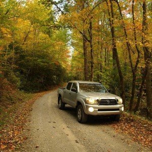 Out for a camping trip took a ride out through the woods