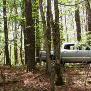 Camping Again