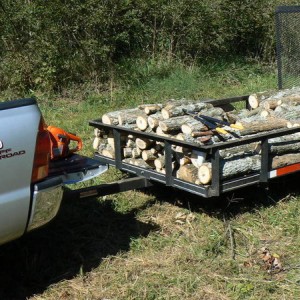 Out cutting some wood to take on the camping trips