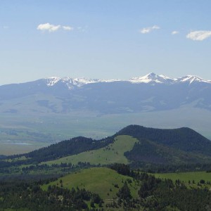 DSC005212