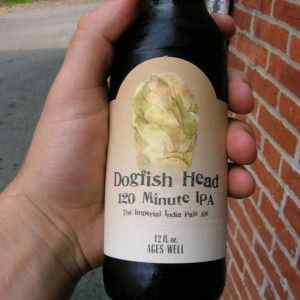 Dog Fish 120