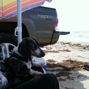 Matagorda 2011