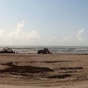 Matagorda 2011