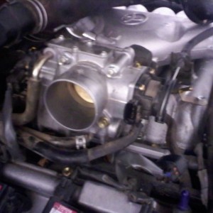 live2S4zoi