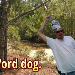 IMAG1195-picsay