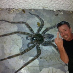 chrisspider