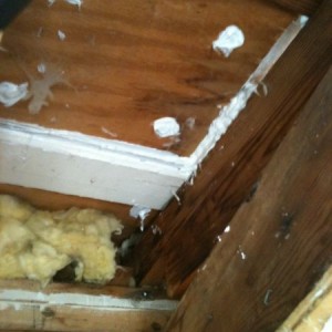 Why do people think they can stop roof leaks from underneath ?