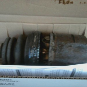 mms_picture_23