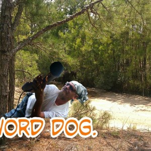 IMAG1195-pFds_sdHhhdicsay-picsay