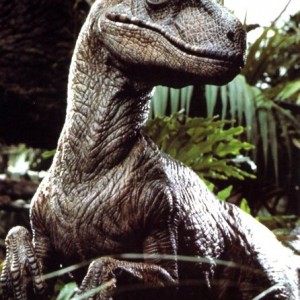 velociraptor2