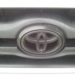 plasti dippped emblem