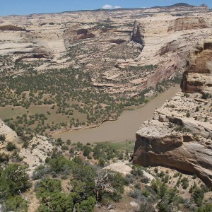 Yampa River in Colorado