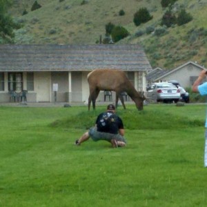 Amanda took a pic of me getting really close to an Elk.