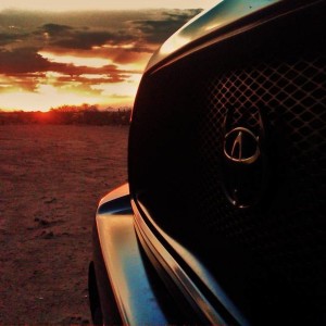 Horns and AZ Sunset