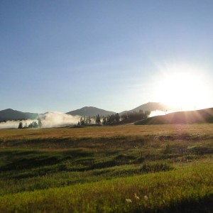 DSC005846