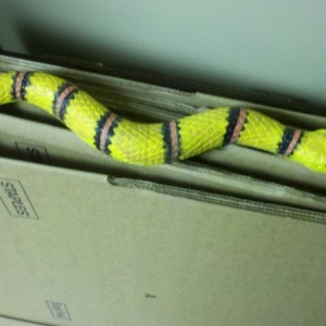 Someone at work just scared the piss out of me with this....