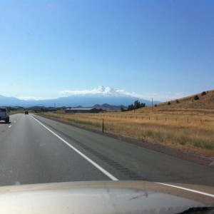 Mt. Shasta