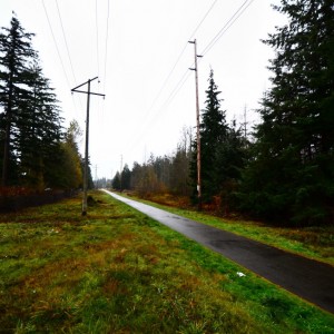 DSC_1460-1280x848