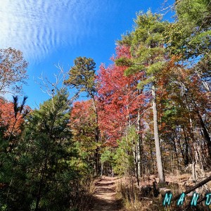 Stone Mountain 01