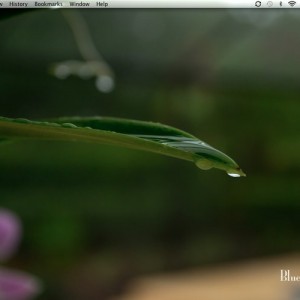 Screen_shot_2011-07-11_at_4_37_46_PM