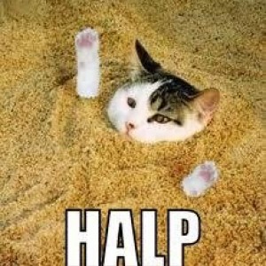 stuck19