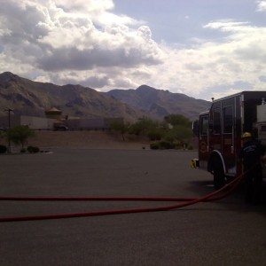 Hard to tell but the catalinas are somewhat green right now.