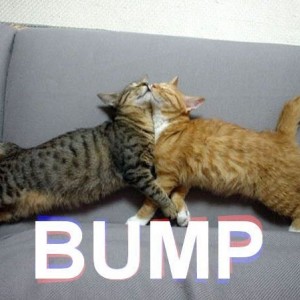 BUMP8