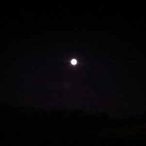 The moon from my drive way. Fu them city lights that don't let you see
