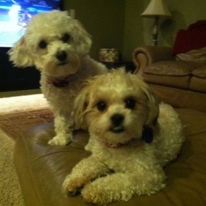 Torii and Rubi say, "You gonna share that cookie?"