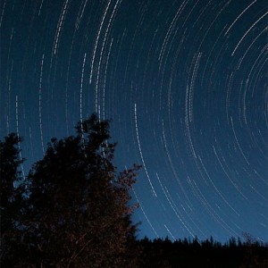 Buena_Vista_Stars