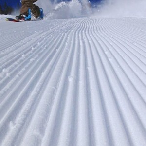 Beaver_Creek