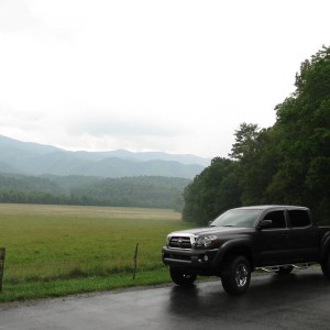 Profiling in Cades Cove Tennessee