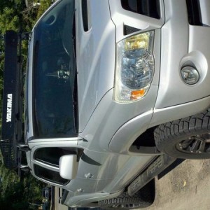 my taco