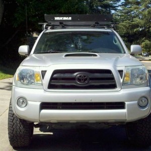 my taco