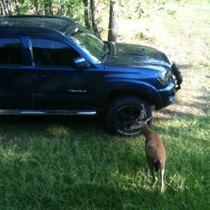 U can't beat that!!! Wish I had my 887 lol