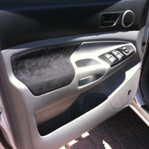 Interior Suede
