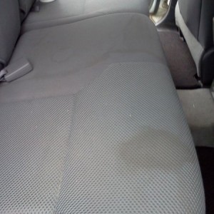Just noticed this...any suggestions? Seat covers are imminent, but I'd