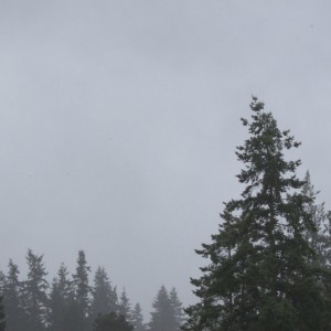 DSC_1509_v1.1280x848