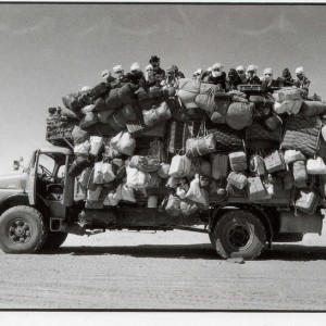 BevHillbillies