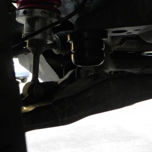 Wheelers super bumps