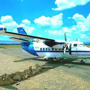 FOpreflight