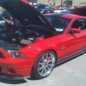 2010 super snake. Only Ford is take here.