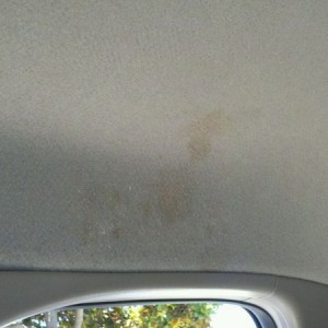 What the heck? This brown stuff is all over the passenger side ceiling? Any