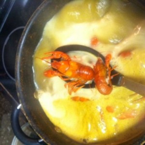 More crawdads. These are seriously a kick in the pants to skin dive for. No