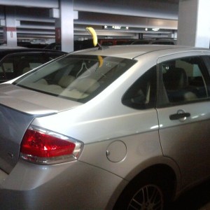 Check out the new Ford focus banana mod