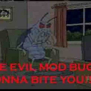bug_copy